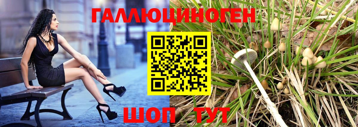 Псилоцибиновые грибы Psilocybine cubensis Красноармейск