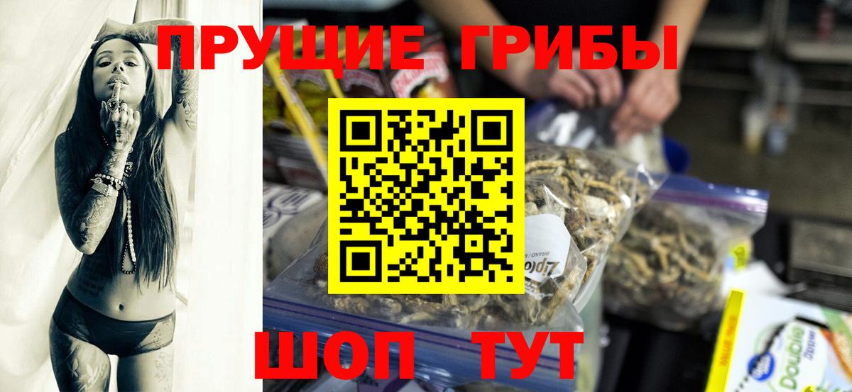 Псилоцибиновые грибы мицелий  Вход с VPN  Псилоцибиновые грибы мицелий  Красноармейск 